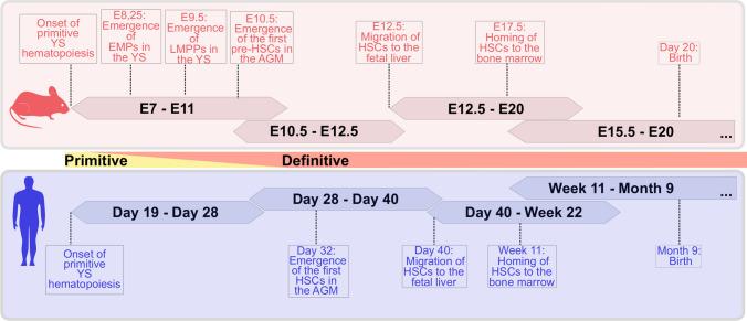 https://cdn.ncbi.nlm.nih.gov/pmc/blobs/1cfe/11073028/76cb6b781c49/18_2021_3777_Fig1_HTML.jpg