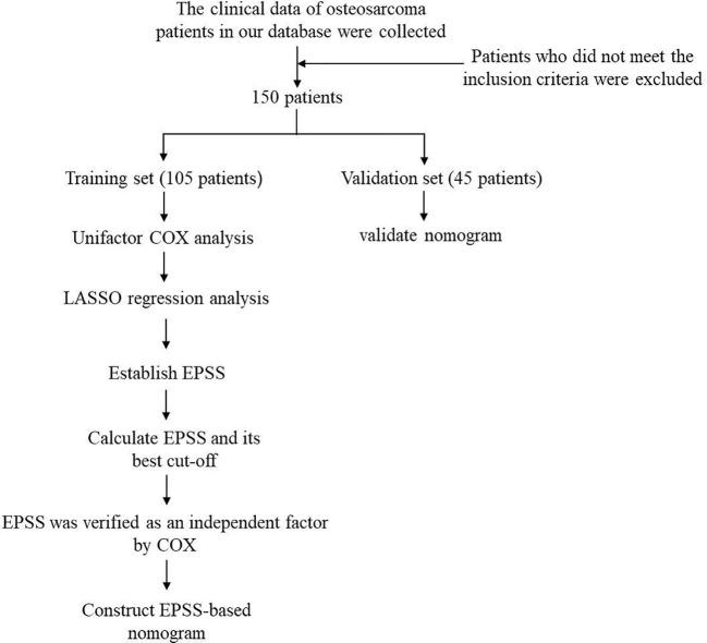 https://cdn.ncbi.nlm.nih.gov/pmc/blobs/1cfe/11496286/27f26d2f1a24/fonc-14-1466912-g001.jpg