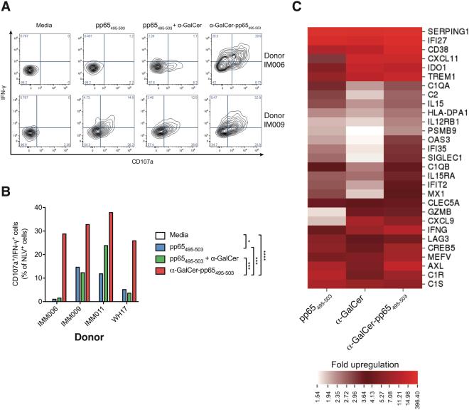 https://cdn.ncbi.nlm.nih.gov/pmc/blobs/1cff/5660197/bddcd813a39b/41598_2017_14690_Fig3_HTML.jpg