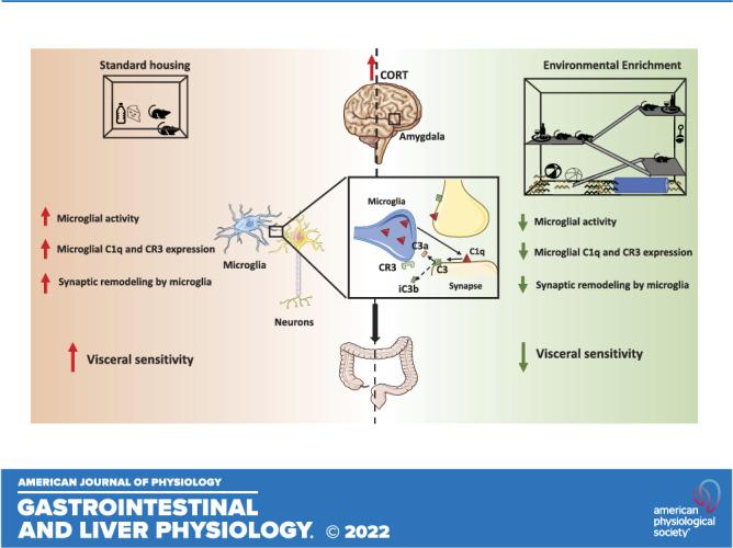 https://cdn.ncbi.nlm.nih.gov/pmc/blobs/1cff/8793868/3e7e135d101d/gi-00307-2021r01.jpg