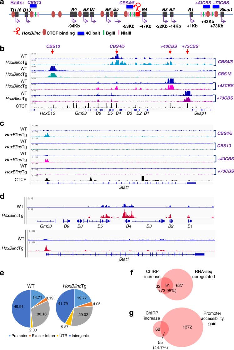 https://cdn.ncbi.nlm.nih.gov/pmc/blobs/1d00/8007823/c287d6444a6c/41467_2021_22095_Fig5_HTML.jpg