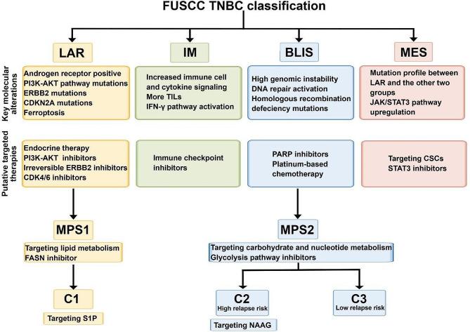 https://cdn.ncbi.nlm.nih.gov/pmc/blobs/1d03/10981301/637419c6659e/12935_2024_3261_Fig1_HTML.jpg