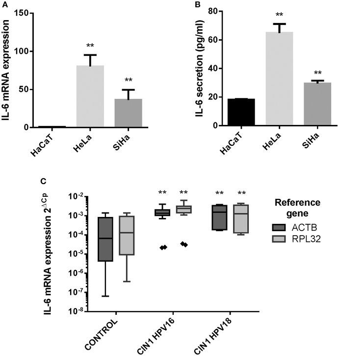 https://cdn.ncbi.nlm.nih.gov/pmc/blobs/1d03/6664019/fbeec51dce96/fimmu-10-01676-g0001.jpg
