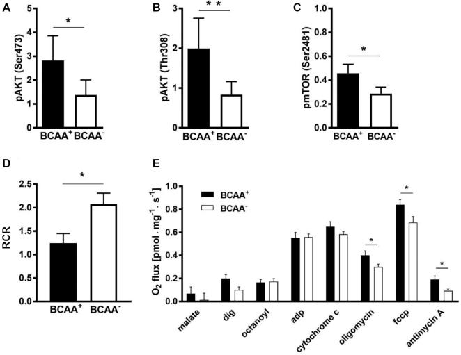 https://cdn.ncbi.nlm.nih.gov/pmc/blobs/1d03/6821637/d878fff4c95e/nqz191fig3.jpg