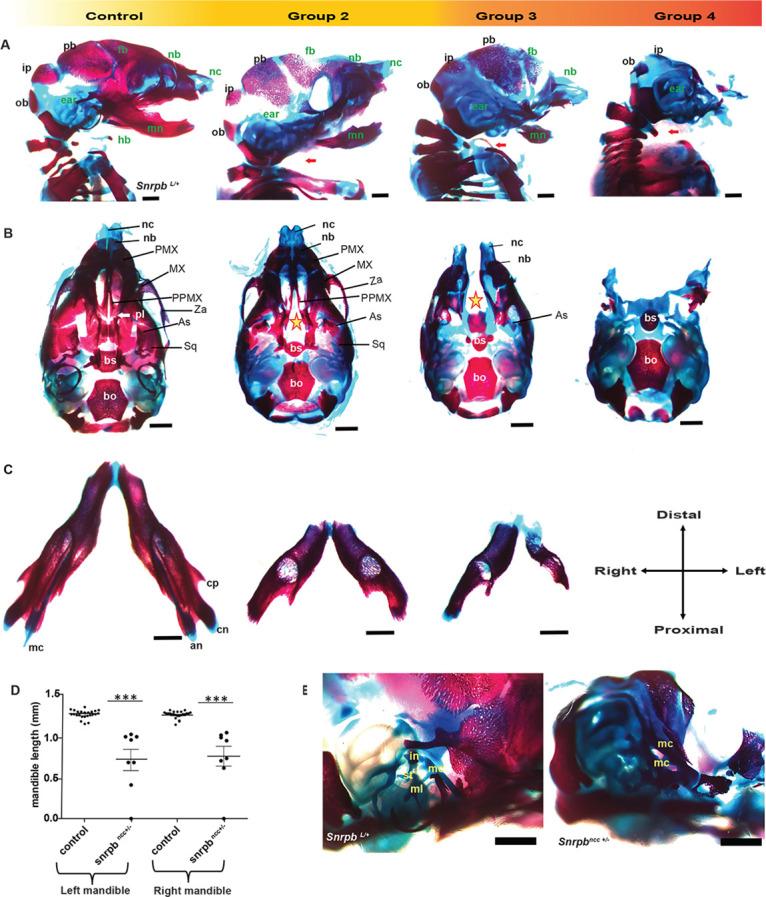 https://cdn.ncbi.nlm.nih.gov/pmc/blobs/1d03/9235875/130ff05f99f3/dmm-15-049544-g2.jpg