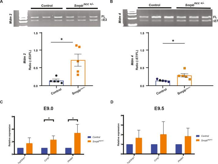 https://cdn.ncbi.nlm.nih.gov/pmc/blobs/1d03/9235875/4b4a9d1cdec8/dmm-15-049544-g5.jpg