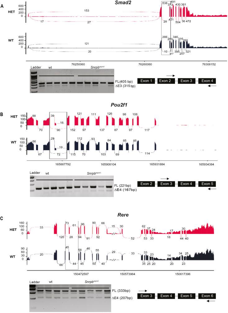 https://cdn.ncbi.nlm.nih.gov/pmc/blobs/1d03/9235875/c41b7734b0da/dmm-15-049544-g6.jpg