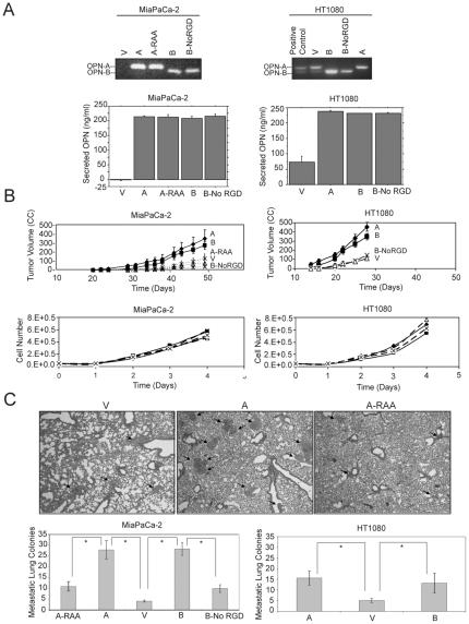 https://cdn.ncbi.nlm.nih.gov/pmc/blobs/1d06/2835762/5e0bb0cef061/pone.0009633.g001.jpg
