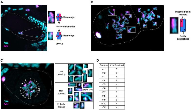 https://cdn.ncbi.nlm.nih.gov/pmc/blobs/1d09/10456839/edd2fdf4bc2d/sciadv.adi2804-f3.jpg