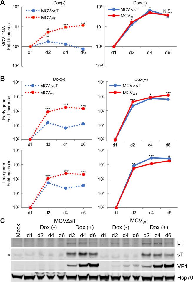 https://cdn.ncbi.nlm.nih.gov/pmc/blobs/1d0b/9829177/541a0cb6fd61/ppat.1011039.g002.jpg