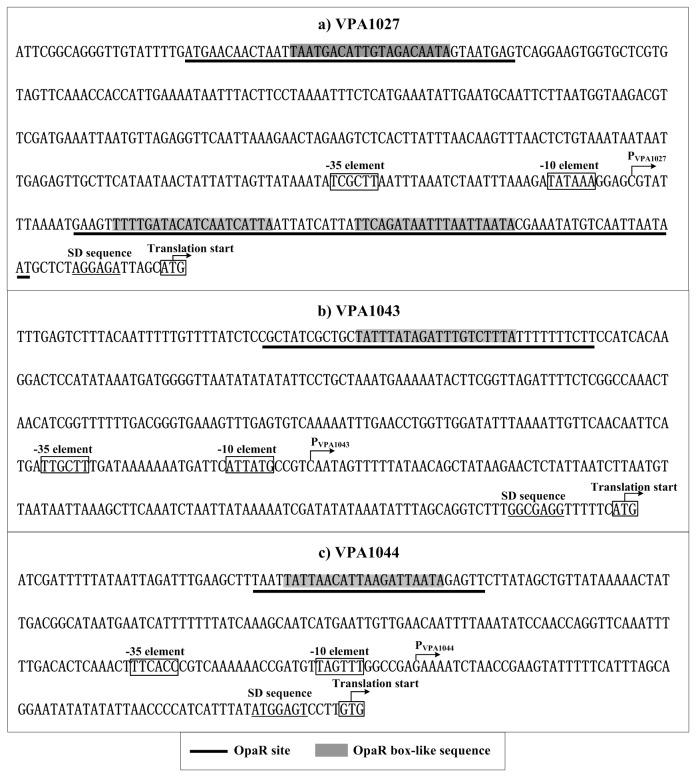 https://cdn.ncbi.nlm.nih.gov/pmc/blobs/1d0c/3744643/099b4bfc553c/pone.0073363.g005.jpg