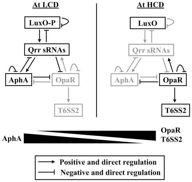 https://cdn.ncbi.nlm.nih.gov/pmc/blobs/1d0c/3744643/5b71f5370523/pone.0073363.g001.jpg