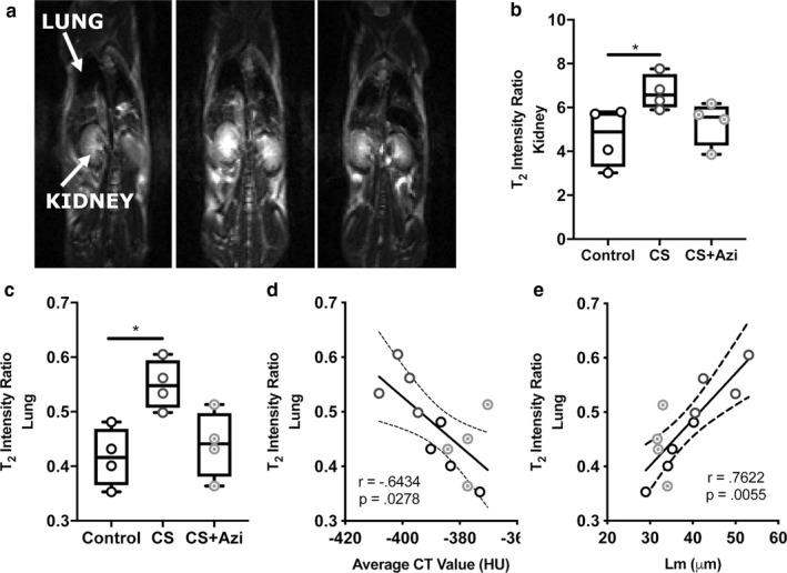 https://cdn.ncbi.nlm.nih.gov/pmc/blobs/1d0d/7354087/775bbbaf4d9f/PHY2-8-e14419-g003.jpg