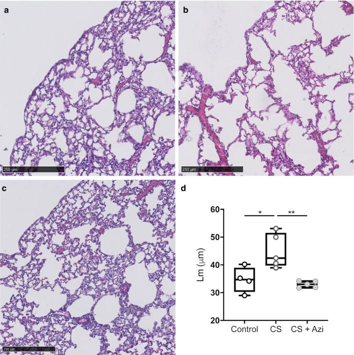 https://cdn.ncbi.nlm.nih.gov/pmc/blobs/1d0d/7354087/f0cec2efc97f/PHY2-8-e14419-g002.jpg
