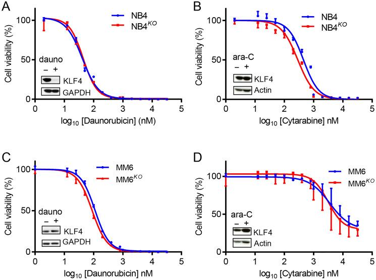 https://cdn.ncbi.nlm.nih.gov/pmc/blobs/1d0d/7899553/1359fb5796c3/oncotarget-12-255-g006.jpg