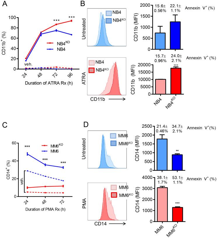 https://cdn.ncbi.nlm.nih.gov/pmc/blobs/1d0d/7899553/4c165744c3ce/oncotarget-12-255-g004.jpg