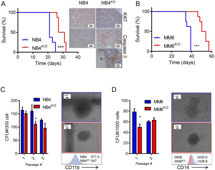 https://cdn.ncbi.nlm.nih.gov/pmc/blobs/1d0d/7899553/5eaede2dae7b/oncotarget-12-255-g005.jpg