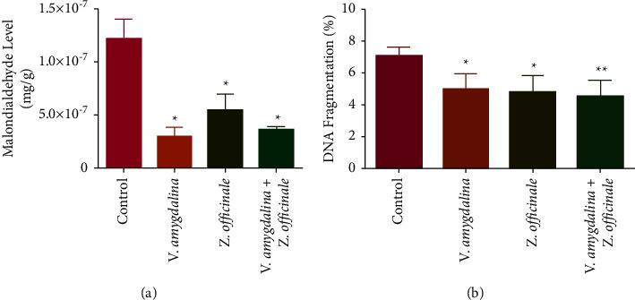 https://cdn.ncbi.nlm.nih.gov/pmc/blobs/1d0d/9529415/c5cad3727bcb/ECAM2022-9470178.002.jpg