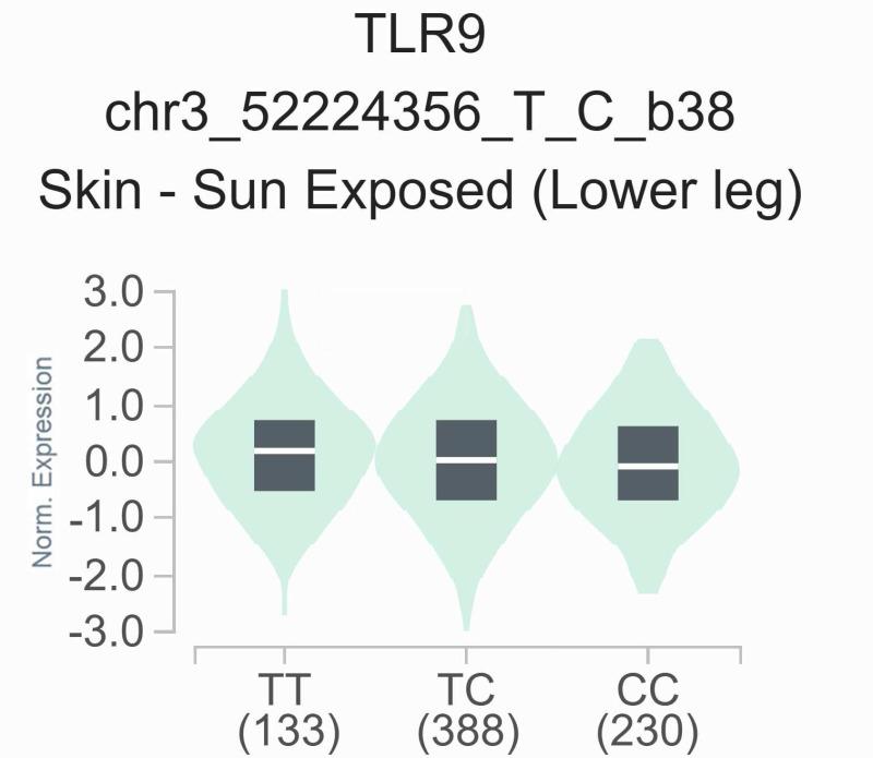 https://cdn.ncbi.nlm.nih.gov/pmc/blobs/1d10/12357549/62fdc7e29c6b/peerj-13-19847-g002.jpg