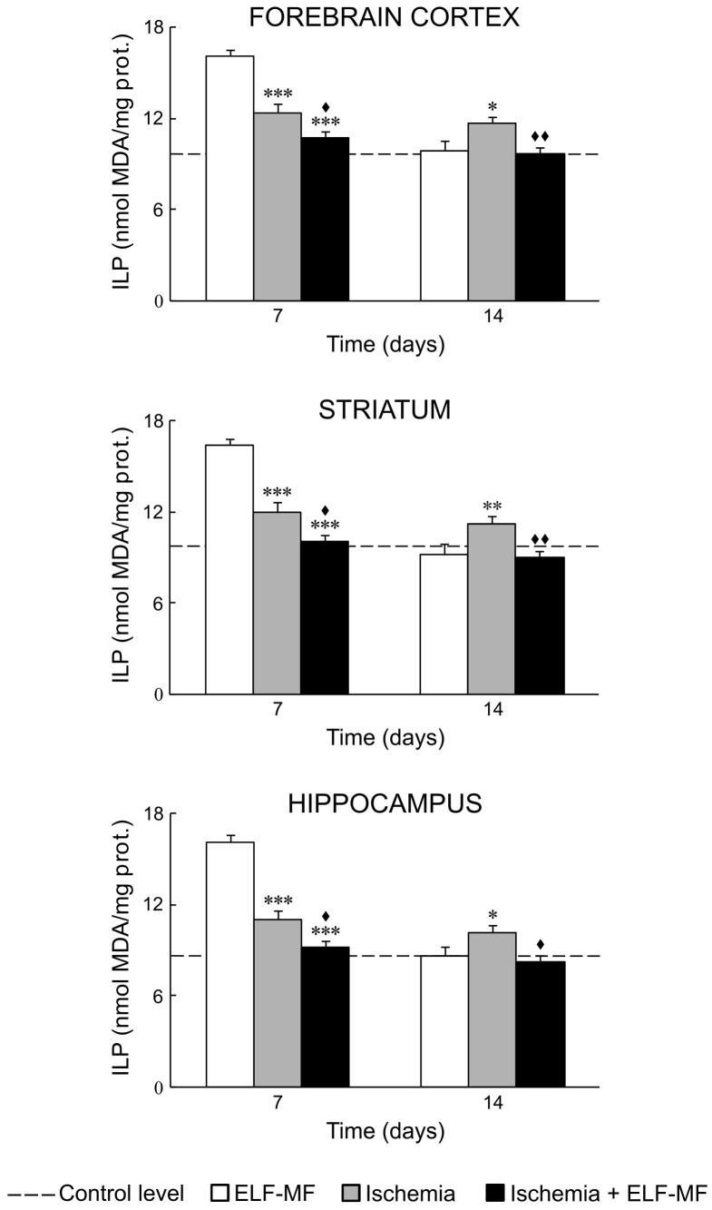 https://cdn.ncbi.nlm.nih.gov/pmc/blobs/1d13/3929496/6764e25ae8bc/pone.0088921.g003.jpg
