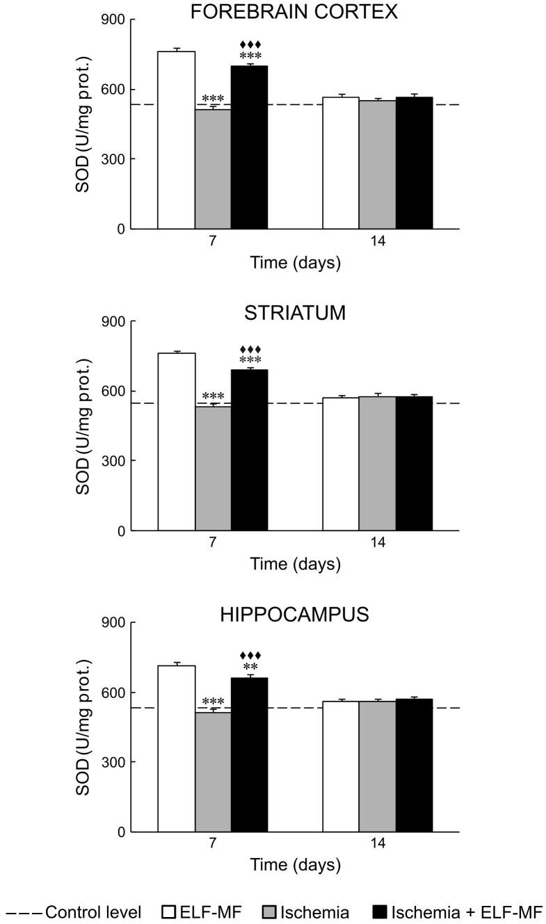https://cdn.ncbi.nlm.nih.gov/pmc/blobs/1d13/3929496/f88d2600b3ca/pone.0088921.g004.jpg