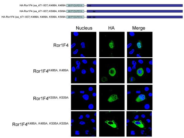 https://cdn.ncbi.nlm.nih.gov/pmc/blobs/1d14/2907318/3c4f129a7ad0/1471-2121-11-48-4.jpg