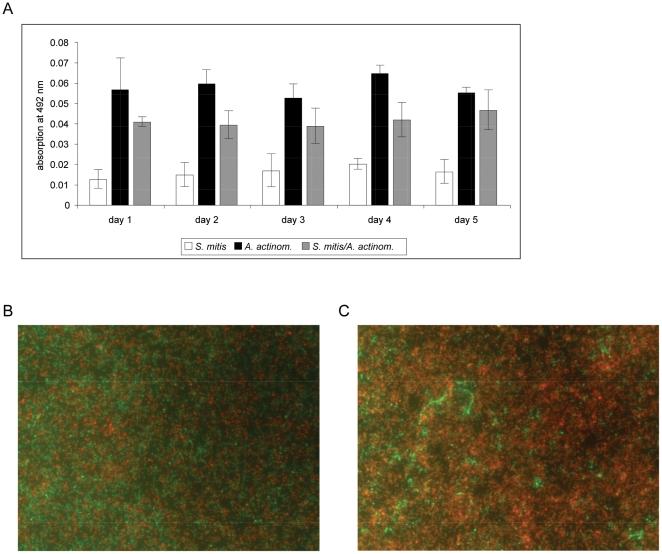 https://cdn.ncbi.nlm.nih.gov/pmc/blobs/1d16/2948514/9057b3481cf5/pone.0013135.g003.jpg