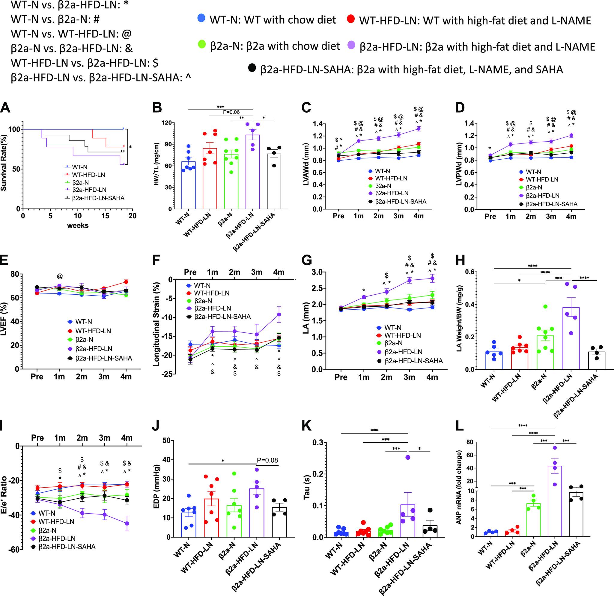 https://cdn.ncbi.nlm.nih.gov/pmc/blobs/1d17/9988529/860e76d92de2/ajpheart.00594.2022_f003.jpg