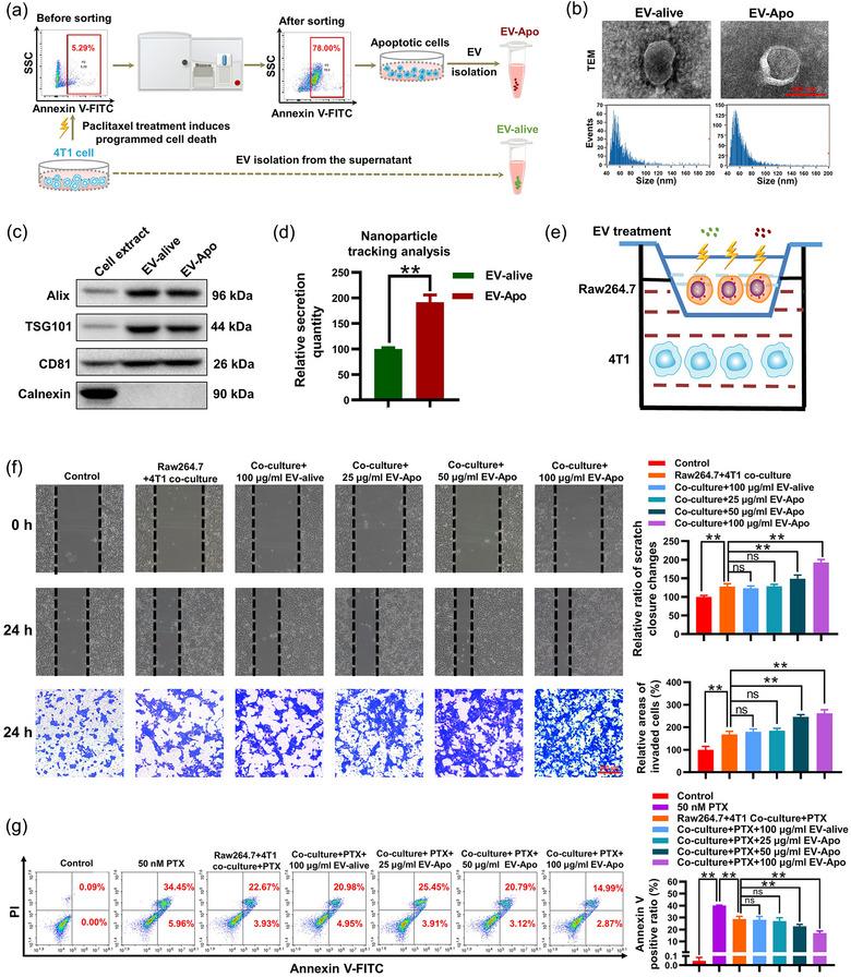 https://cdn.ncbi.nlm.nih.gov/pmc/blobs/1d1d/11270583/093f04f089c0/JEV2-13-e12493-g011.jpg