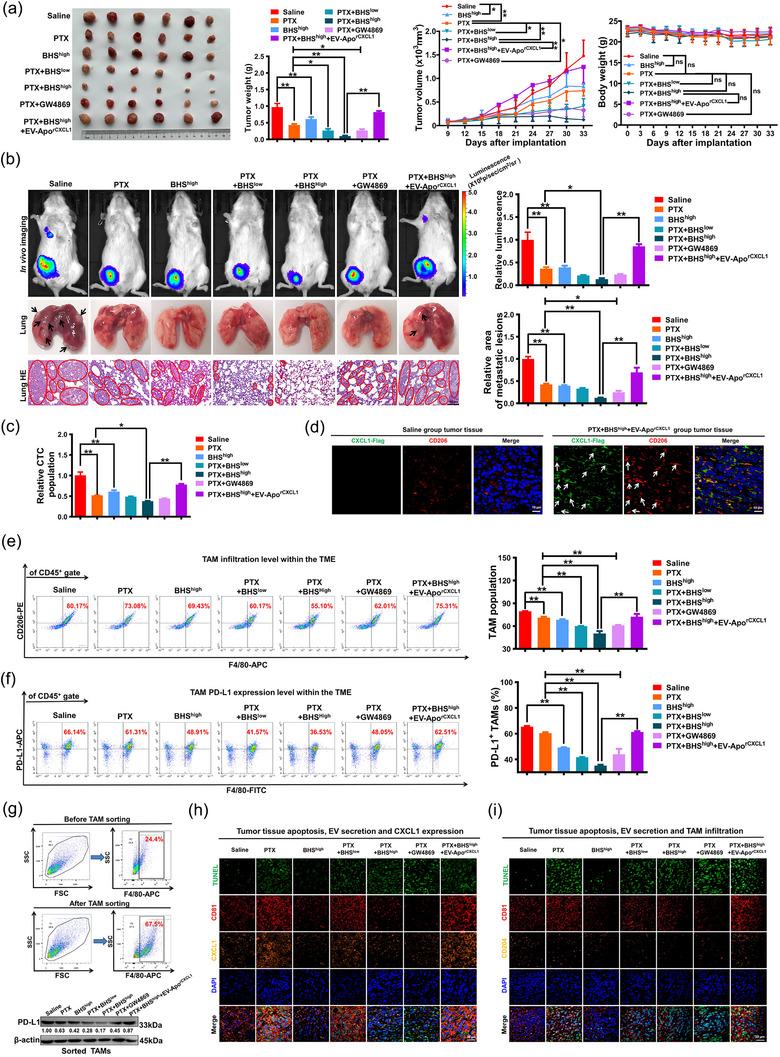 https://cdn.ncbi.nlm.nih.gov/pmc/blobs/1d1d/11270583/10225cbfaf95/JEV2-13-e12493-g001.jpg