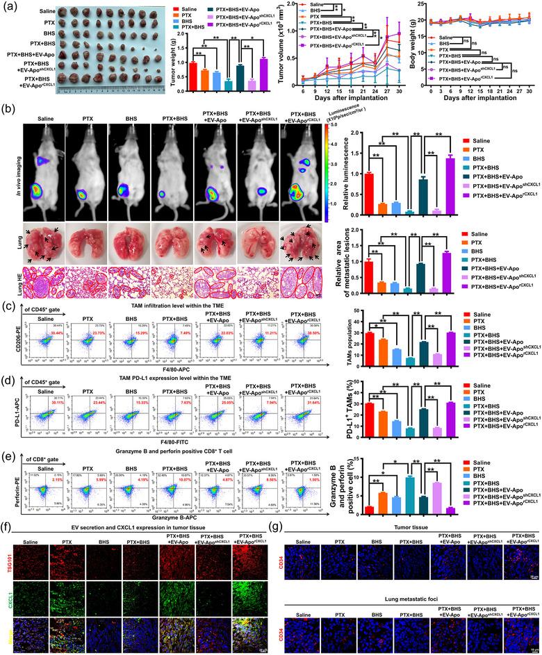 https://cdn.ncbi.nlm.nih.gov/pmc/blobs/1d1d/11270583/1dcac67f2f11/JEV2-13-e12493-g005.jpg