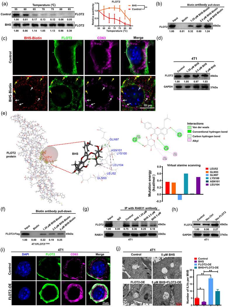 https://cdn.ncbi.nlm.nih.gov/pmc/blobs/1d1d/11270583/325cfee4cd4c/JEV2-13-e12493-g003.jpg