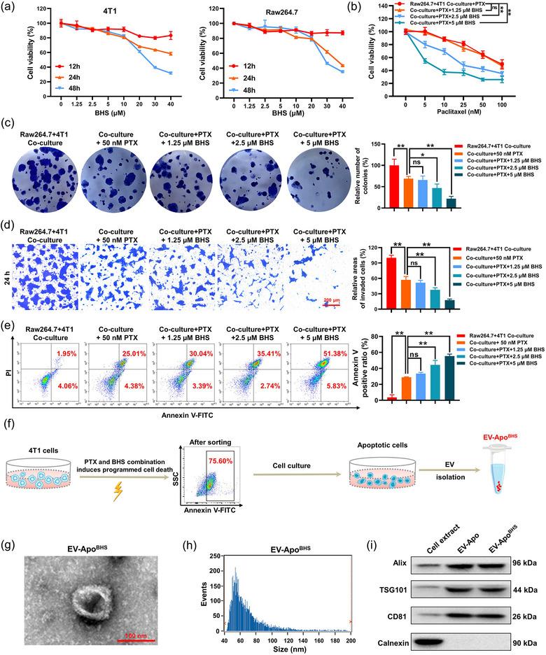 https://cdn.ncbi.nlm.nih.gov/pmc/blobs/1d1d/11270583/4cab7b4d1347/JEV2-13-e12493-g002.jpg
