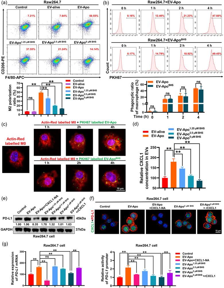 https://cdn.ncbi.nlm.nih.gov/pmc/blobs/1d1d/11270583/557168371063/JEV2-13-e12493-g006.jpg