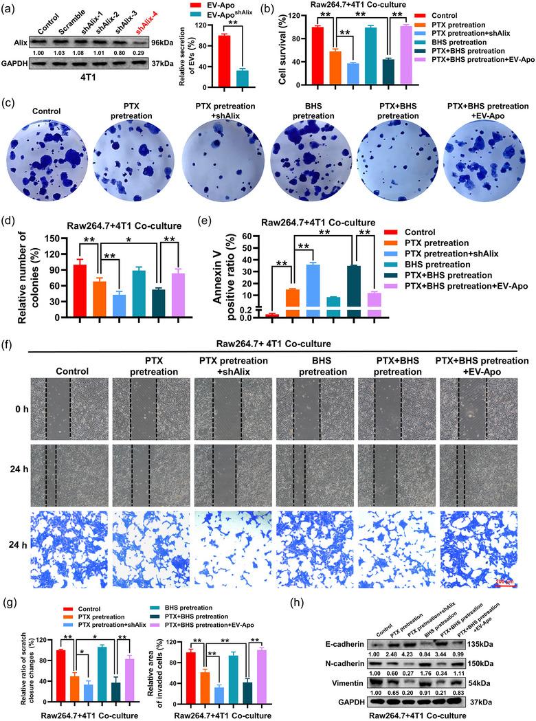 https://cdn.ncbi.nlm.nih.gov/pmc/blobs/1d1d/11270583/68f6b52cbb25/JEV2-13-e12493-g008.jpg