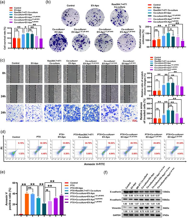 https://cdn.ncbi.nlm.nih.gov/pmc/blobs/1d1d/11270583/9fd561164a8f/JEV2-13-e12493-g010.jpg