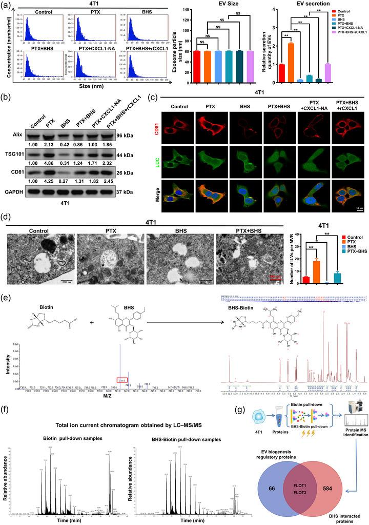 https://cdn.ncbi.nlm.nih.gov/pmc/blobs/1d1d/11270583/ef876221605e/JEV2-13-e12493-g009.jpg