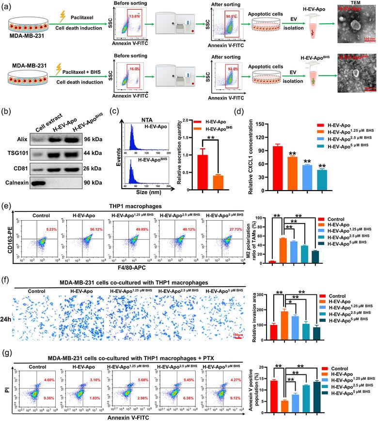 https://cdn.ncbi.nlm.nih.gov/pmc/blobs/1d1d/11270583/f36b468461e0/JEV2-13-e12493-g004.jpg