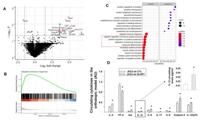 https://cdn.ncbi.nlm.nih.gov/pmc/blobs/1d1d/8232770/0fd440d6431c/cancers-13-02999-g007.jpg
