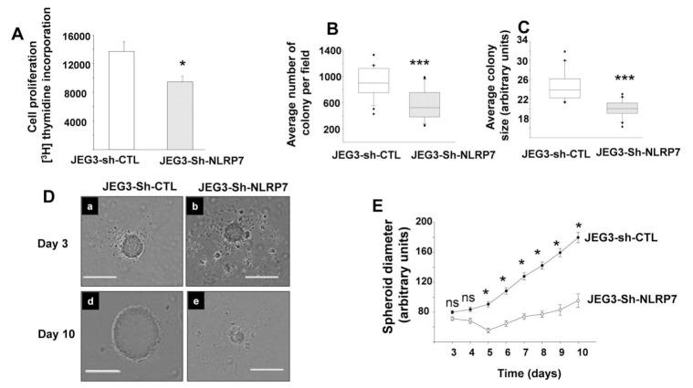https://cdn.ncbi.nlm.nih.gov/pmc/blobs/1d1d/8232770/4b092d6e9f19/cancers-13-02999-g002.jpg