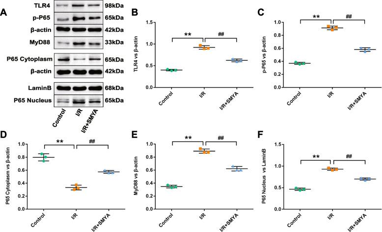 https://cdn.ncbi.nlm.nih.gov/pmc/blobs/1d20/10236840/1b6adc472e87/12906_2023_4013_Fig4_HTML.jpg