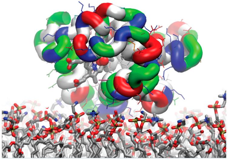 https://cdn.ncbi.nlm.nih.gov/pmc/blobs/1d20/10377724/df745f9f0968/biomolecules-13-01138-g007.jpg