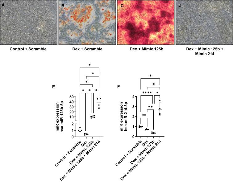 https://cdn.ncbi.nlm.nih.gov/pmc/blobs/1d20/11787018/d255207eeac0/gr6.jpg