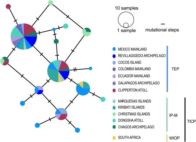 https://cdn.ncbi.nlm.nih.gov/pmc/blobs/1d21/11438443/5e76a6022ea7/peerj-12-18058-g004.jpg