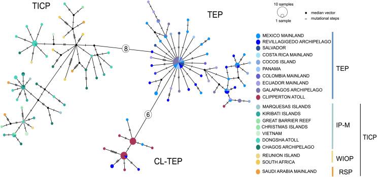 https://cdn.ncbi.nlm.nih.gov/pmc/blobs/1d21/11438443/cc78936f38a8/peerj-12-18058-g003.jpg
