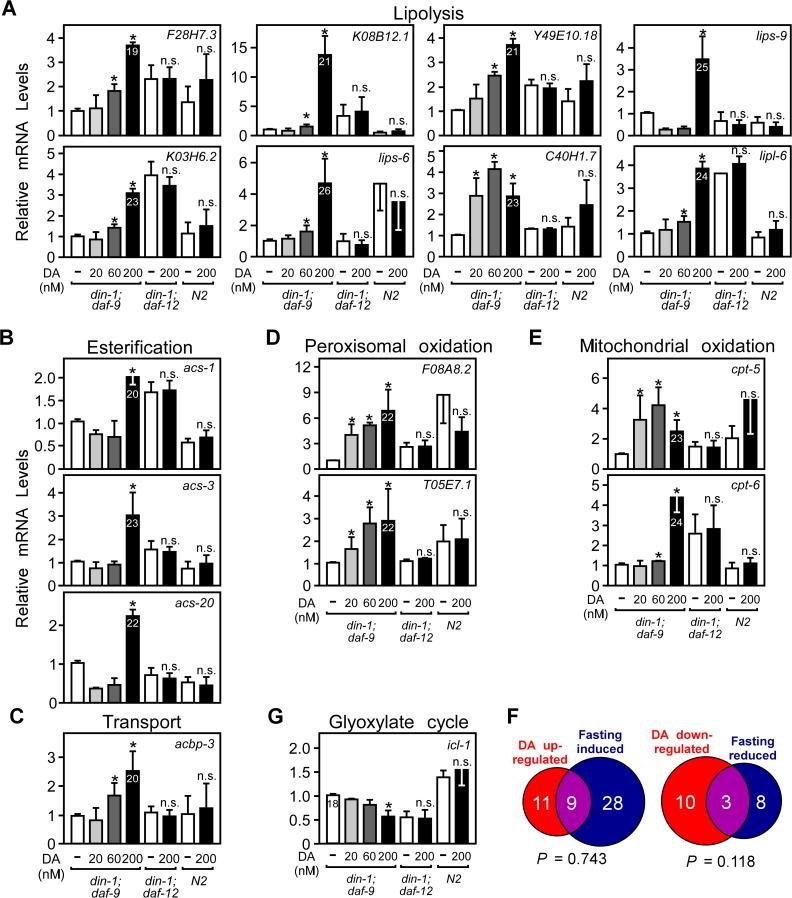 https://cdn.ncbi.nlm.nih.gov/pmc/blobs/1d21/4361679/933c1390dec0/pgen.1005027.g002.jpg