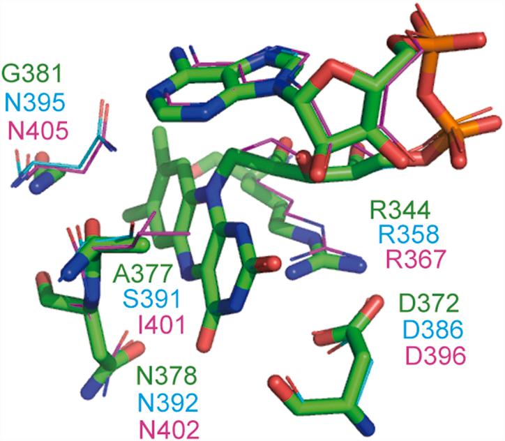 https://cdn.ncbi.nlm.nih.gov/pmc/blobs/1d21/9356274/762ec991d630/gr2.jpg