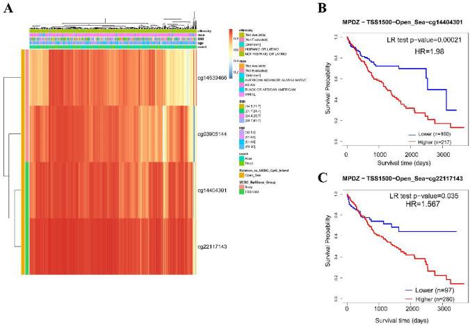https://cdn.ncbi.nlm.nih.gov/pmc/blobs/1d23/12176938/07e278234bd0/10238_2025_1729_Fig11_HTML.jpg