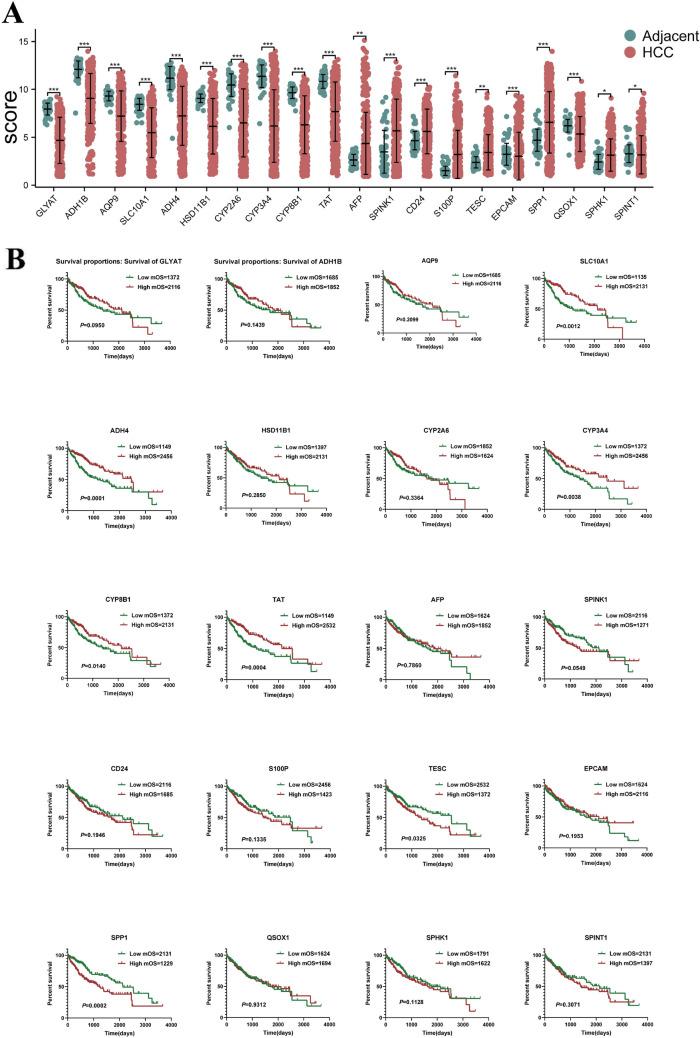 https://cdn.ncbi.nlm.nih.gov/pmc/blobs/1d23/12176938/5a91a261aa50/10238_2025_1729_Fig6_HTML.jpg