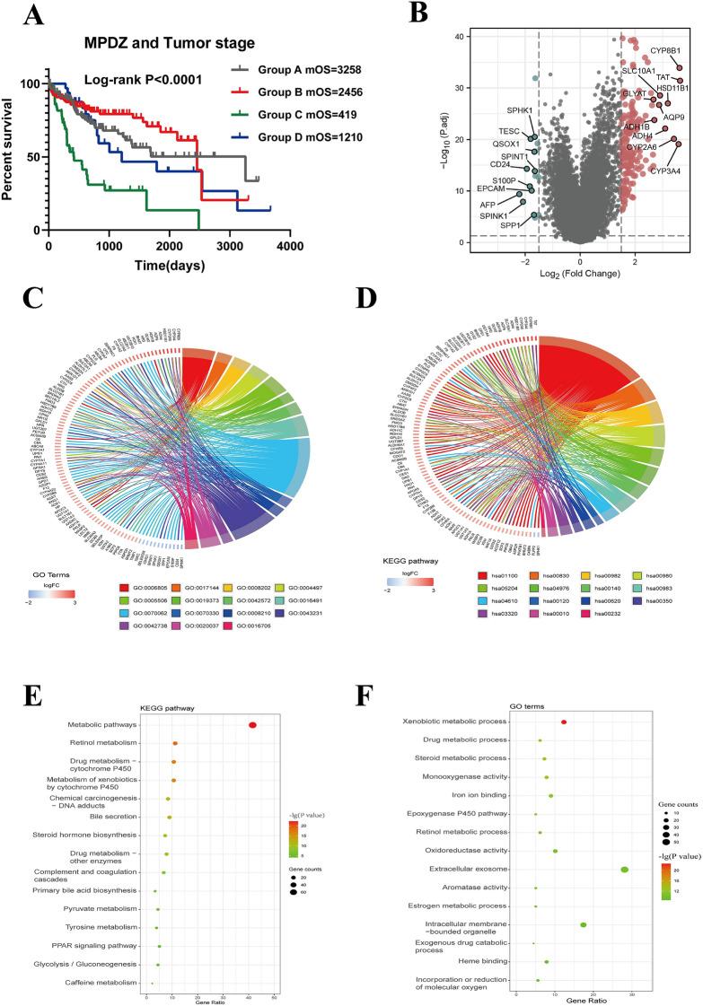 https://cdn.ncbi.nlm.nih.gov/pmc/blobs/1d23/12176938/5b2291c8055b/10238_2025_1729_Fig5_HTML.jpg